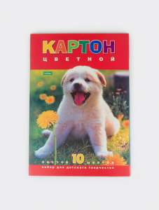 Набор цв. картон  А4,10л 10 цв мелов. 1/30