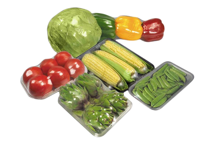 pngwing.com (42).png pngwing.com (42).png